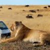 Kidepo National Park