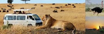 Kidepo National Park
