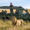 Top Places for Wildlife Safari in Uganda: Where to Experience Nature at Its Best