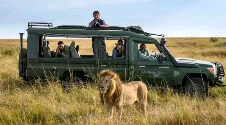 Top Places for Wildlife Safari in Uganda: Where to Experience Nature at Its Best