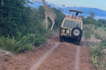 Car rental in Western Uganda