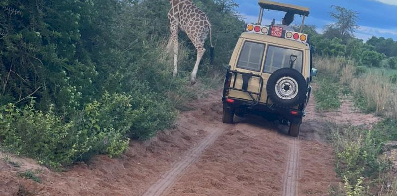 Car rental in Western Uganda