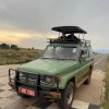 Uganda Wildlife Safari: Discover Nature at Its Best