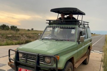 Uganda Wildlife Safari: Discover Nature at Its Best